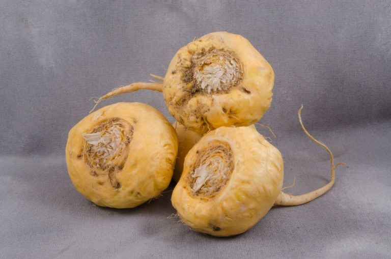 Maca Root